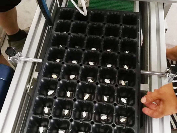 山東穴盤播種機(jī)廠家